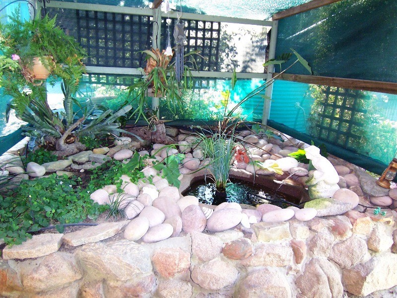 43 Inglis Street, Boyup Brook WA 6244