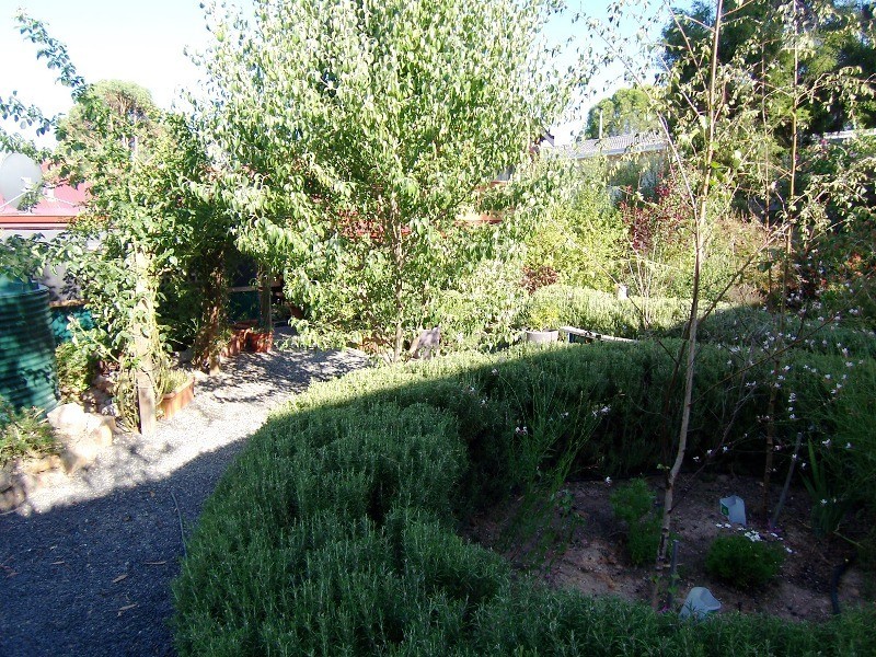 43 Inglis Street, Boyup Brook WA 6244