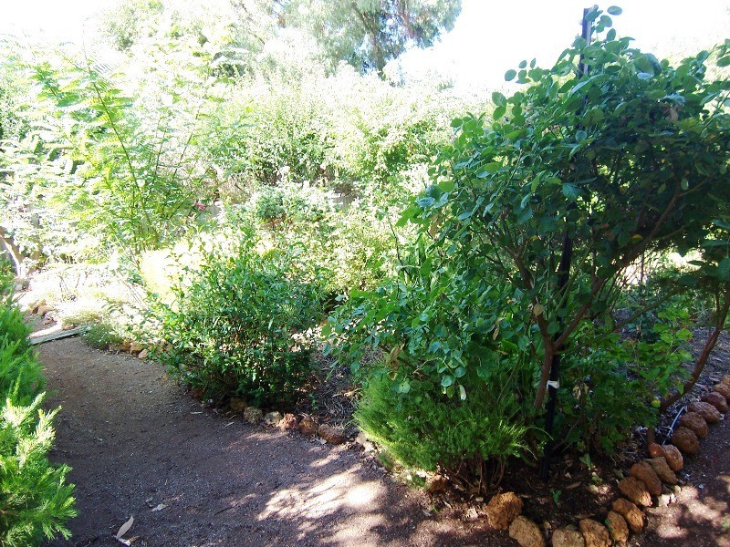 15 McAlinden Street, Bridgetown WA 6255