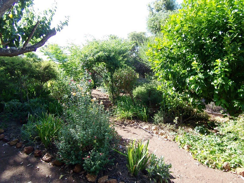 15 McAlinden Street, Bridgetown WA 6255