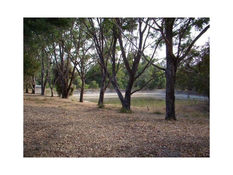 91 Greenbushes-Grimwade Rd, North Greenbushes WA 6254