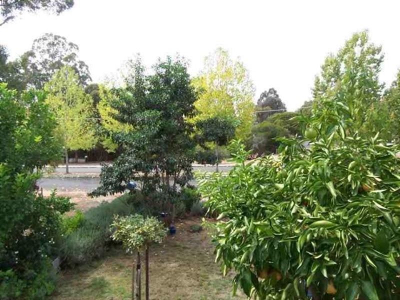 41 Inglis Street, Boyup Brook WA 6244