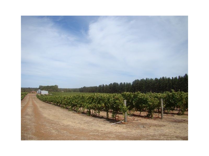 4 Gommes Lane, Yornup WA 6256