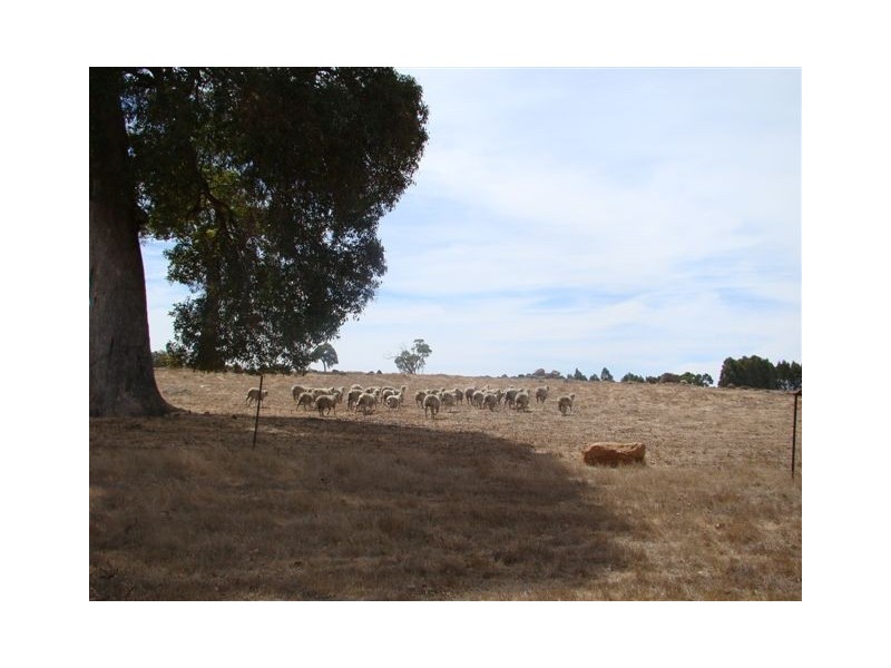 4 Gommes Lane, Yornup WA 6256