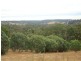 Lot 31 Nickajack Place, Bridgetown WA 6255