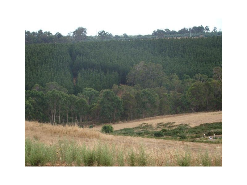 Lot 92 Sunridge Drive, Bridgetown WA 6255