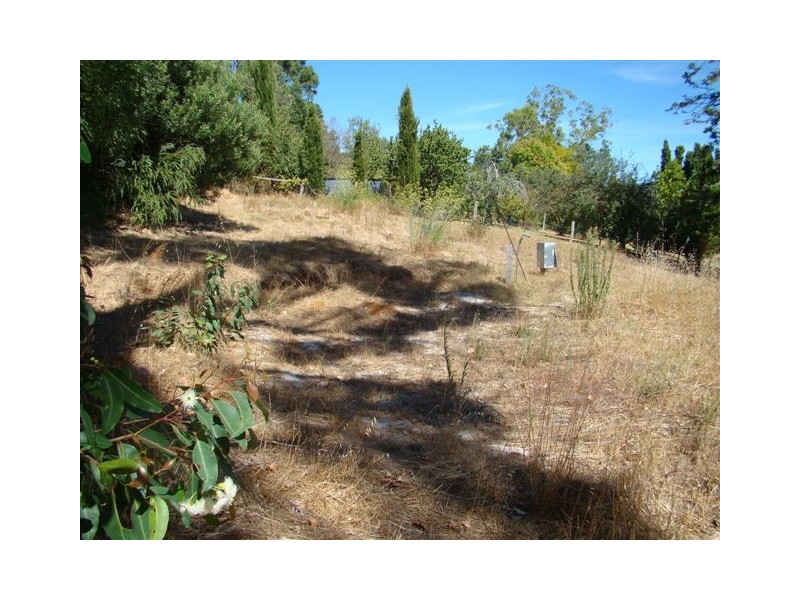 5c Brockman St, Bridgetown WA 6255