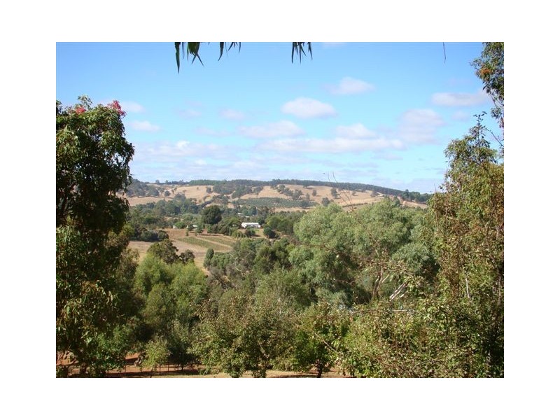 Lot 52 Austin Dale (off Gray’s Hill), Bridgetown WA 6255