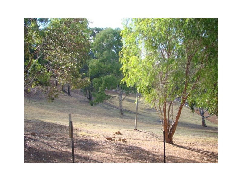 Lot 52 Austin Dale (off Gray’s Hill), Bridgetown WA 6255