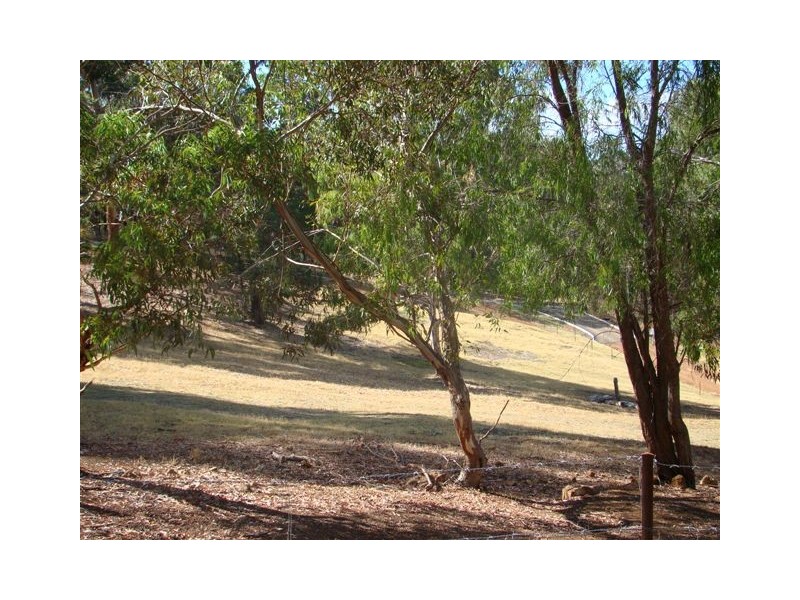 Lot 52 Austin Dale (off Gray’s Hill), Bridgetown WA 6255