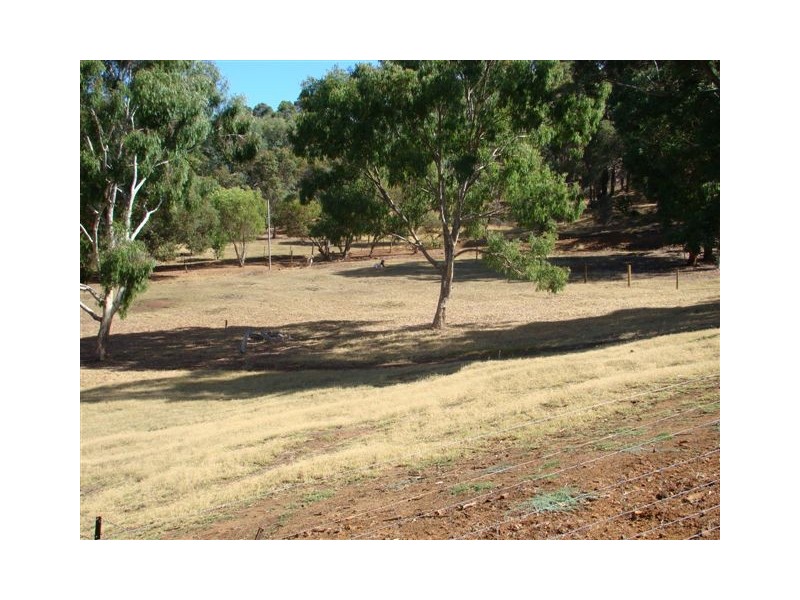 Lot 52 Austin Dale (off Gray’s Hill), Bridgetown WA 6255