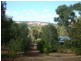 Lot 52 Austin Dale (off Gray’s Hill), Bridgetown WA 6255