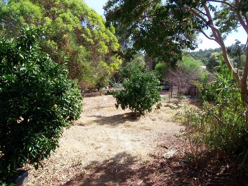 16 Henry Street, Bridgetown WA 6255