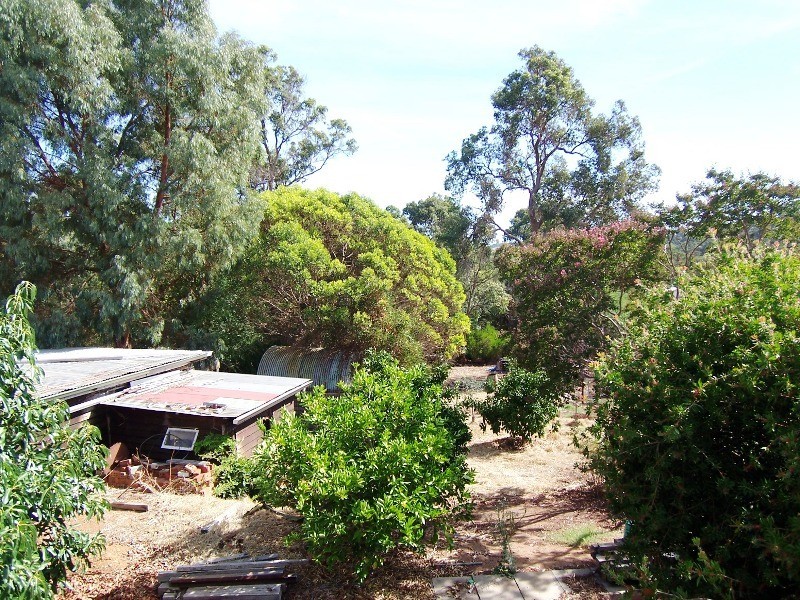 16 Henry Street, Bridgetown WA 6255