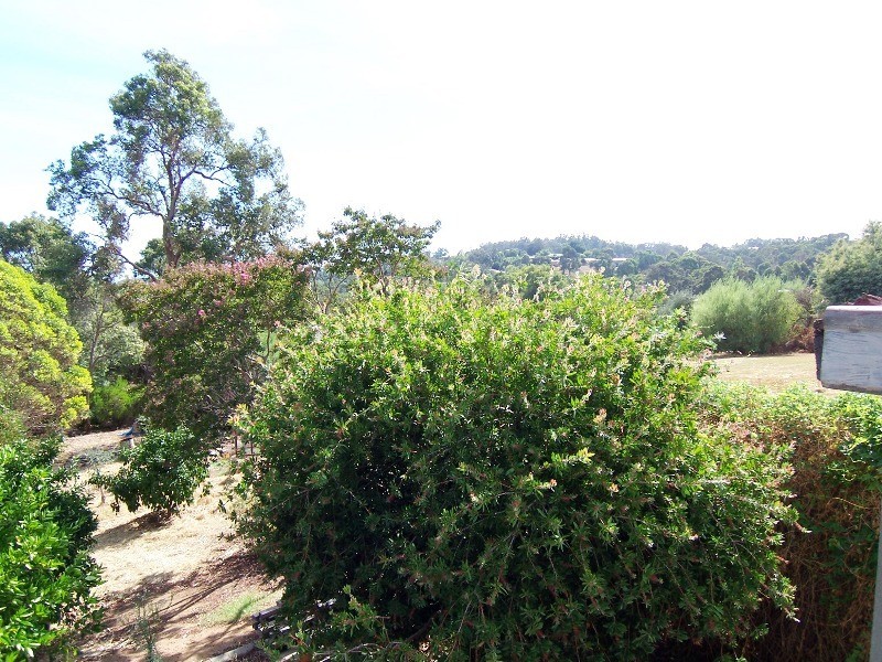 16 Henry Street, Bridgetown WA 6255