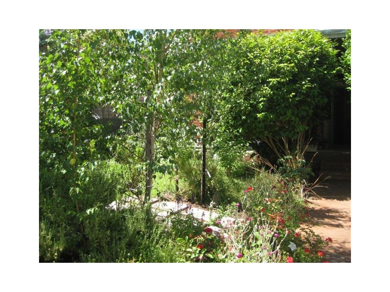 10 Phillips Street, Bridgetown WA 6255