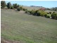 100 Robinia Way, Bridgetown WA 6255