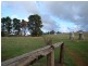 Lot 32 Tweed Road, Bridgetown WA 6255