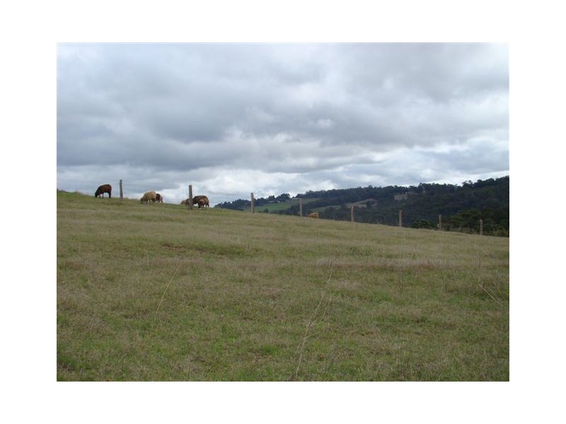 Lot 32 Tweed Road, Bridgetown WA 6255