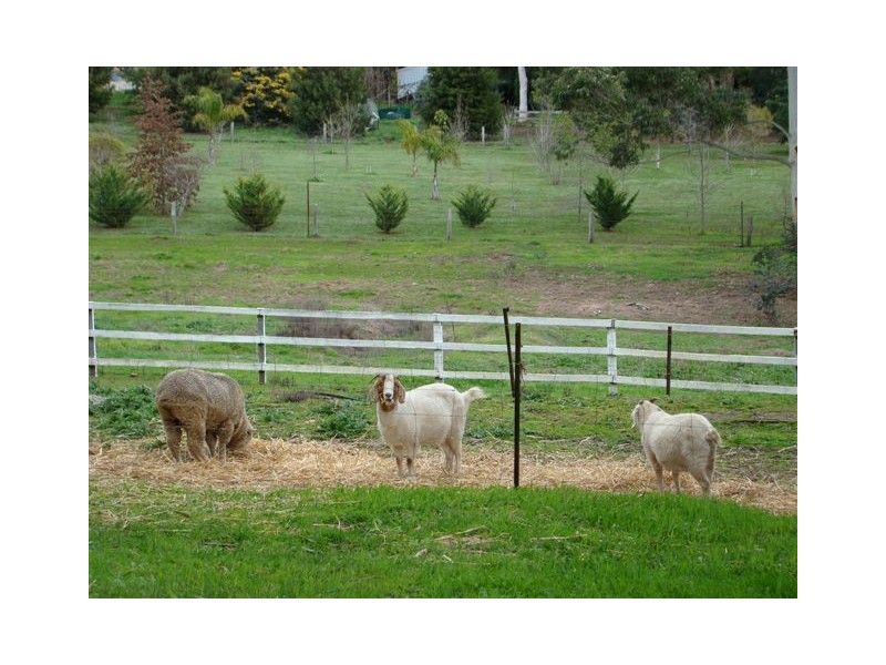 419 Mattamattup St, Bridgetown WA 6255