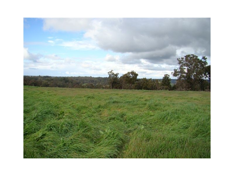 160 Balmoral Drive, Bridgetown WA 6255