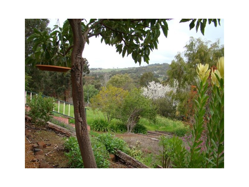 444 Thompson Street, Bridgetown WA 6255