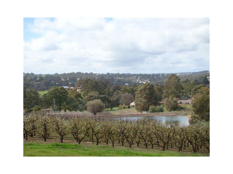 488 Inglis Street, Bridgetown WA 6255