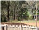 291 Eedle Tce, Bridgetown WA 6255