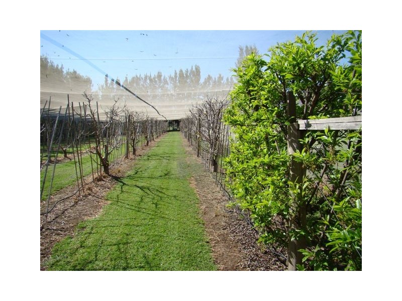 69 Railway Tce, Bridgetown WA 6255