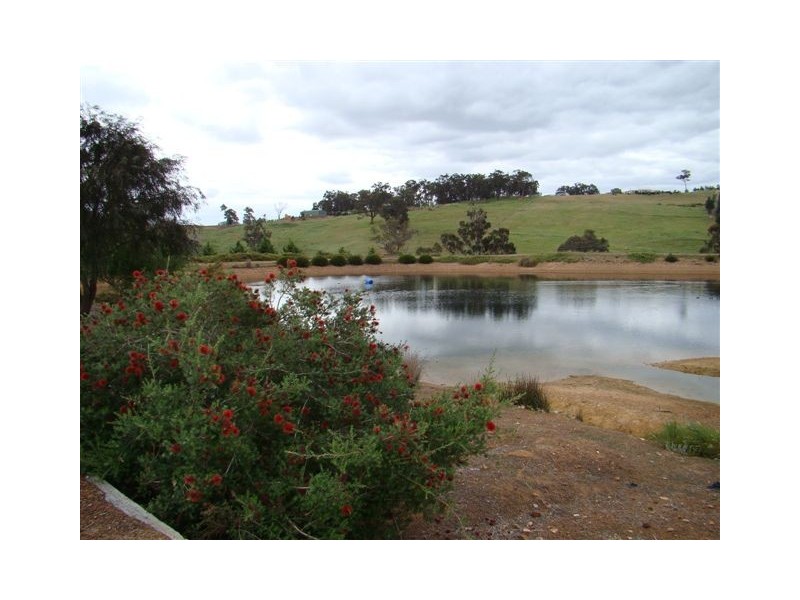 53/53 Cottonwood Close, Bridgetown WA 6255