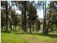 Lot 46 Flintoff Road, Bridgetown WA 6255