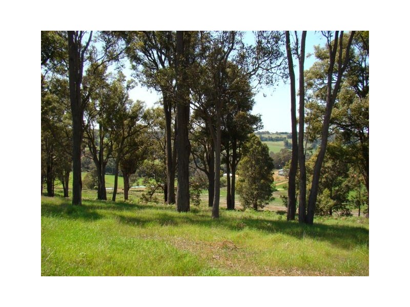 Lot 46 Flintoff Road, Bridgetown WA 6255