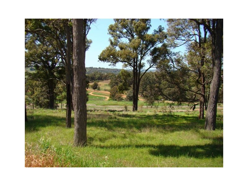 Lot 46 Flintoff Road, Bridgetown WA 6255