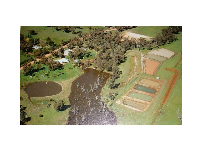 Lot 22 Cnr Watersford Rd & Winnejup Rd, Bridgetown WA 6255