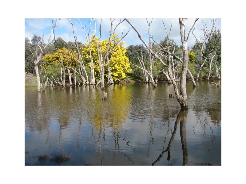 Lot 22 Cnr Watersford Rd & Winnejup Rd, Bridgetown WA 6255