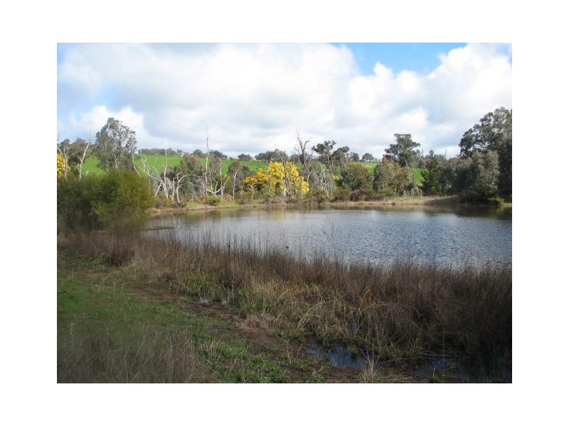 Lot 22 Cnr Watersford Rd & Winnejup Rd, Bridgetown WA 6255