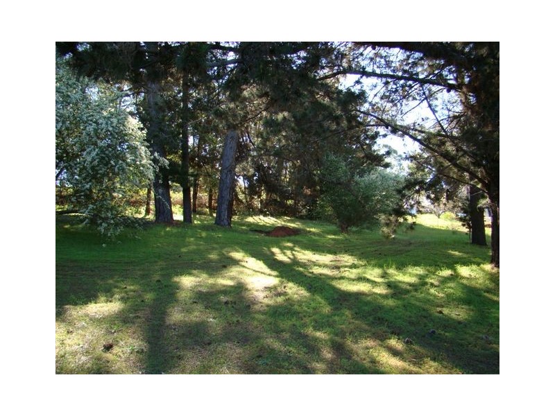 18A Campbell St, Bridgetown WA 6255