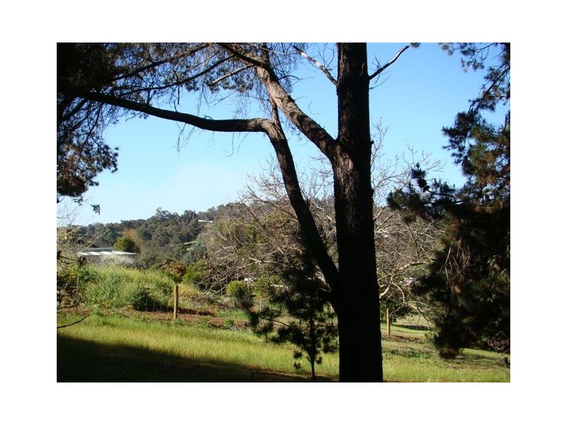 18A Campbell St, Bridgetown WA 6255