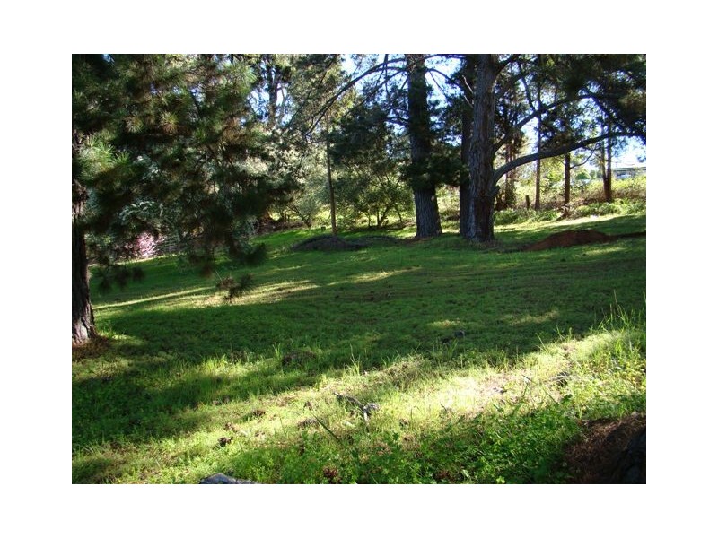 18A Campbell St, Bridgetown WA 6255