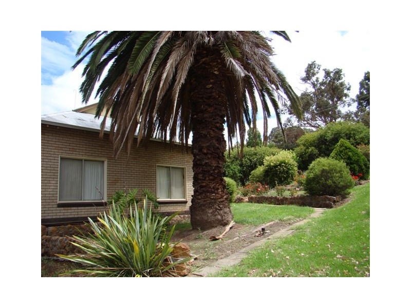 19 Barlee St, Bridgetown WA 6255