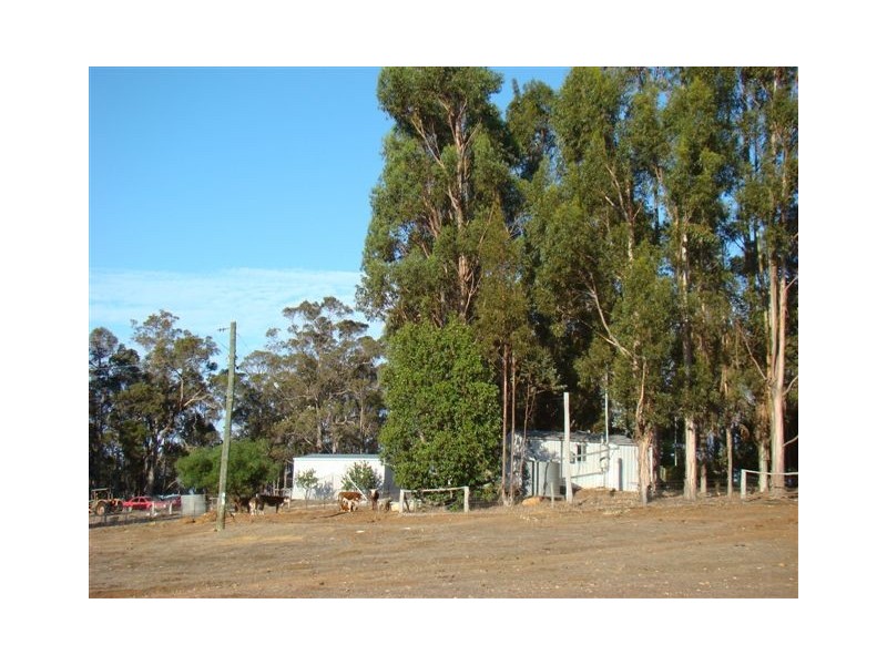 11826 Shephard St, Bridgetown WA 6255