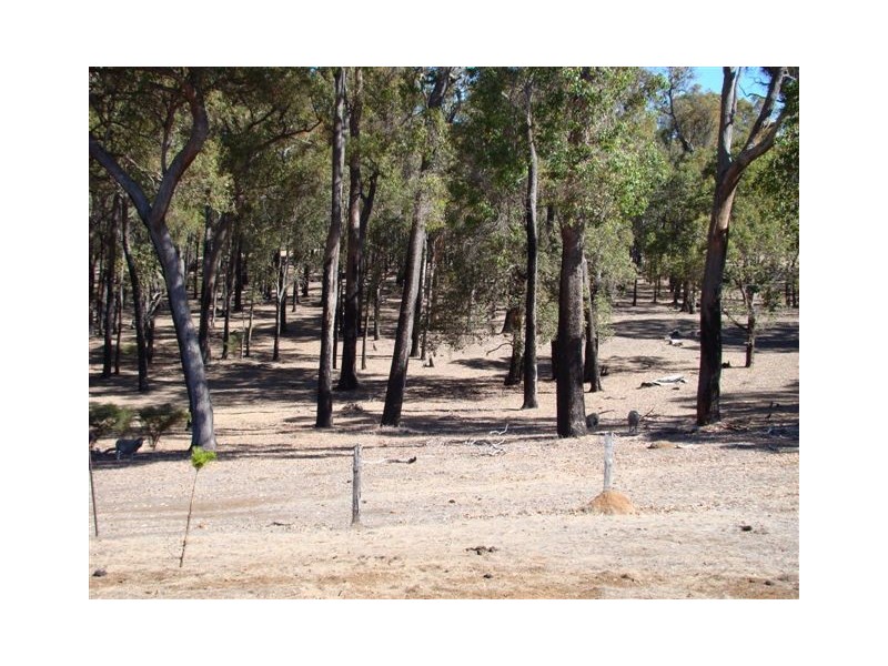 11826 Shephard St, Bridgetown WA 6255