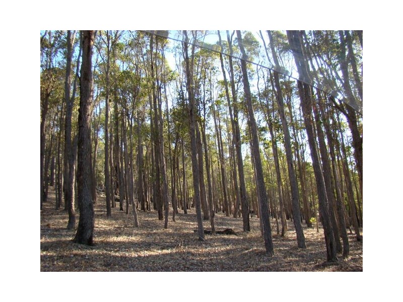 11826 Shephard St, Bridgetown WA 6255