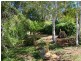Lot/53 Gifford Road, Bridgetown WA 6255