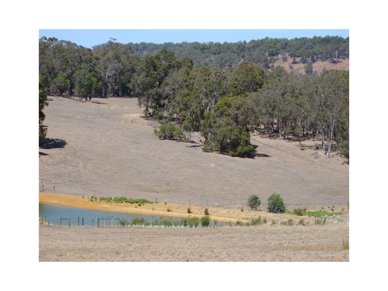 9914 Elwins Rd, Bridgetown WA 6255