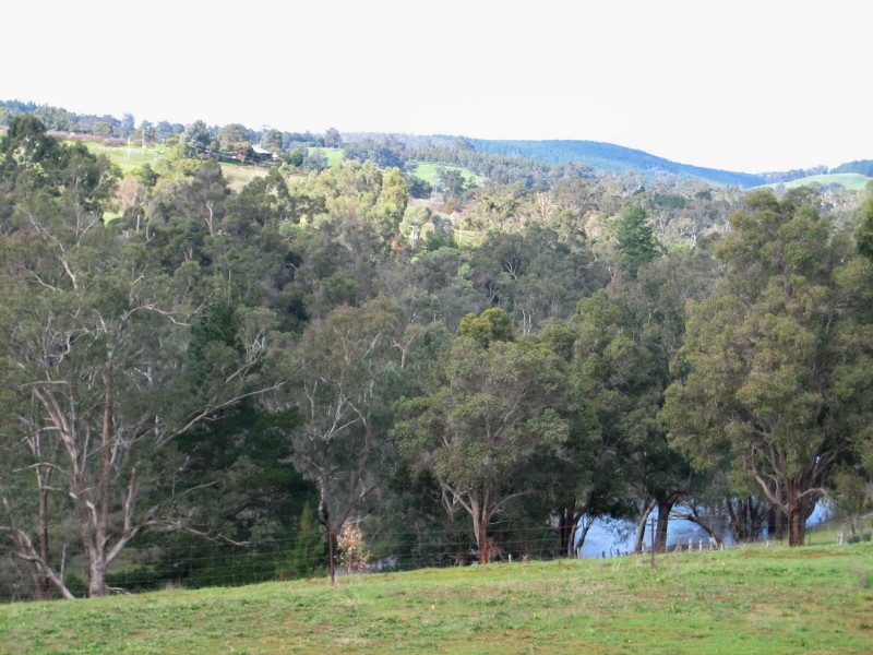 44 River Rd, Bridgetown WA 6255