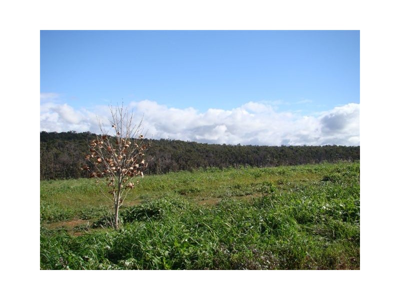 330 Haig Street, Bridgetown WA 6255