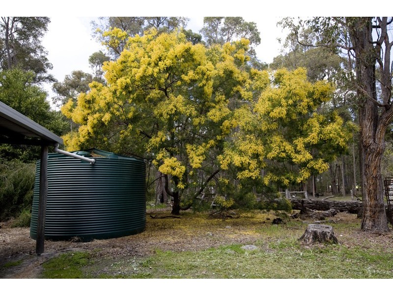 1 Greenbushes-Boyup Brook Rd, Bridgetown WA 6255