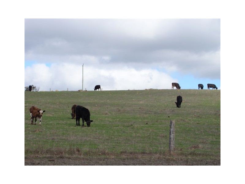 1 Stretch Lane, Winnejup WA 6255