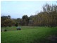 20 Landsdowne View, Bridgetown WA 6255